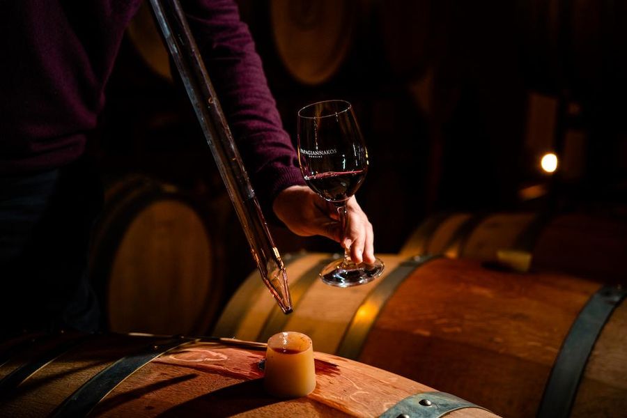 oenologist controlling the quality of the wine from the barrels at Domaine Papagiannakos cellar